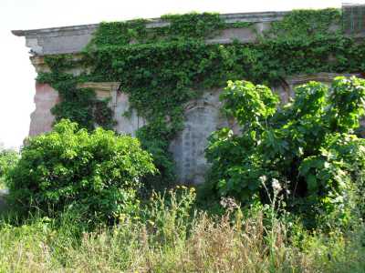 Ovunque foglie verdi nate spontaneamente sulle mura rossastre coprono l�intonaco e i mattoni consunti dal tempo